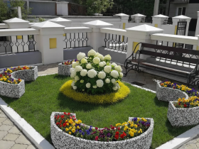 Цветочный комплекс "ОМЕГА" купить в Иркутске