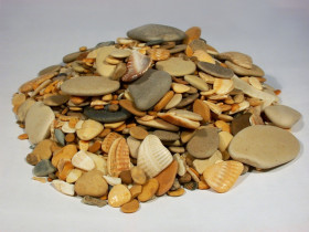 Галька морские ракушки купить в Иркутске