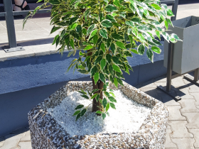 Вазон "ЖЕНЕВА" купить в Иркутске